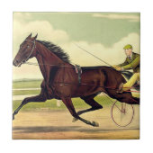 TOP Sulky Champ Tegeltje (Voorkant)