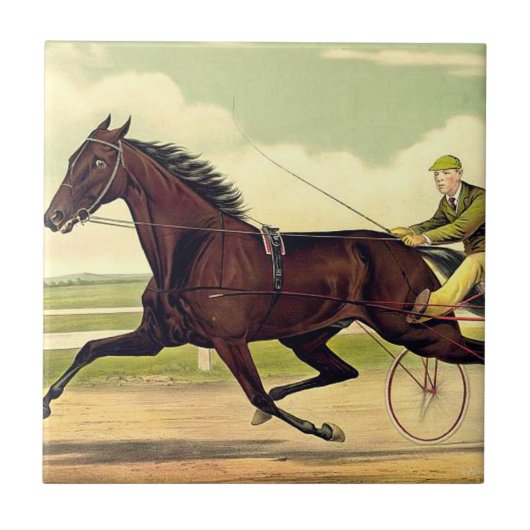 TOP Sulky Champ Tegeltje (Voorkant)