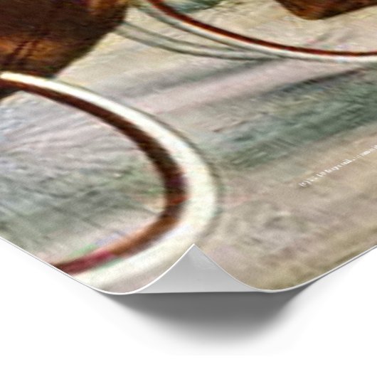 TOP Trotter Poster (Hoek)