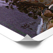 Top van de Sierras Poster (Hoek)