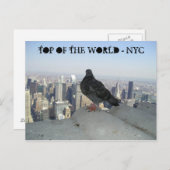 TOP VAN DE WERELD - NYC BRIEFKAART (Voorkant / Achterkant)