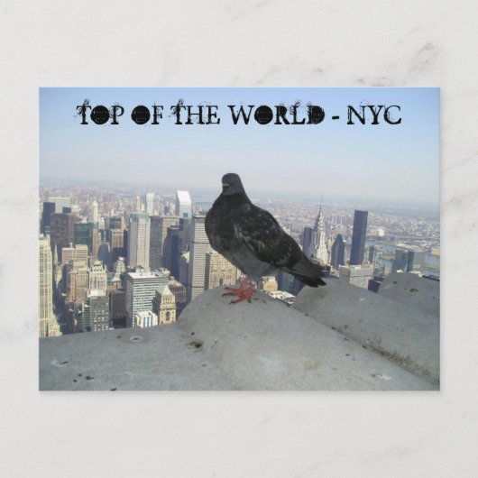 TOP VAN DE WERELD - NYC BRIEFKAART (Voorkant)