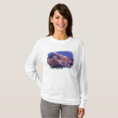 Top van Denali Peak (Mt. McKinley) op (Voorkant volledig)