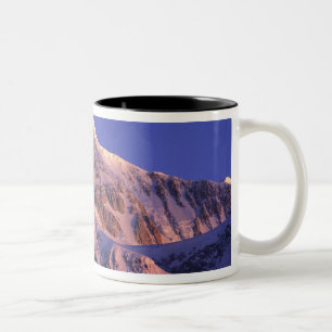 Top van Denali Peak (Mt. McKinley) op Tweekleurige Koffiemok