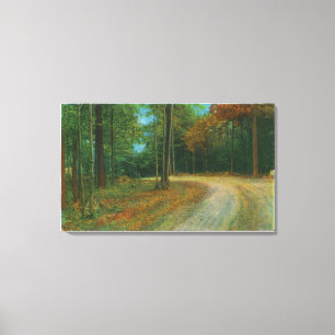 Top van het Midden-Ravine van het slagveld van Sar Canvas Afdruk