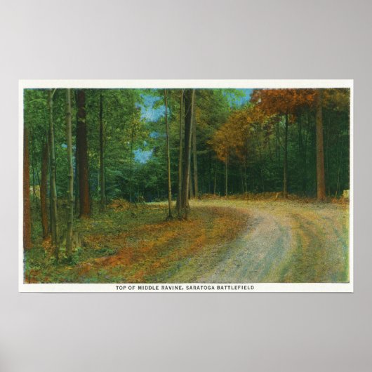Top van het Midden-Ravine van het slagveld van Sar Poster (Voorkant)