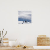 Top van het Poster van de wereld (Keuken)