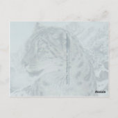 Top van Koning Snow Leopard briefkaart (Achterkant)