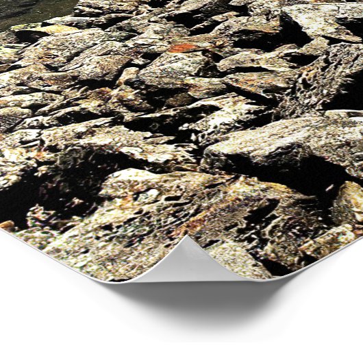 Top van Schotland Poster (Hoek)