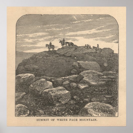 Top van White Face Mountain Poster (Voorkant)