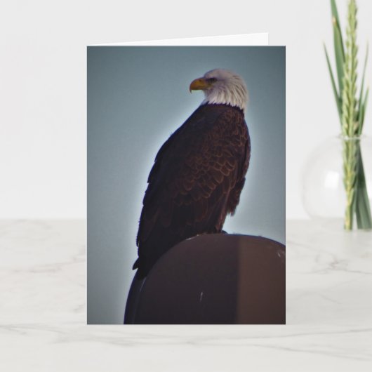 “Top Vogel” Condoleancekaart Kaart (Voorkant)