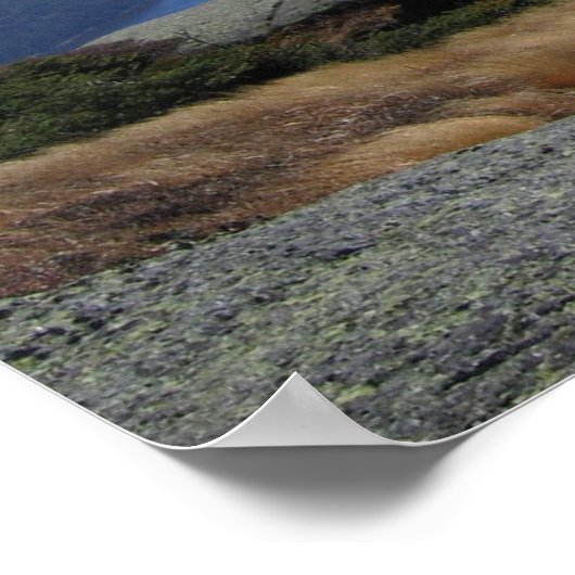 Topconferentie Adirondack High Peaks - Algonquin Poster (Hoek)