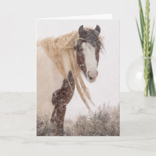 "Topeka in Winter"-feestkaart Kaart