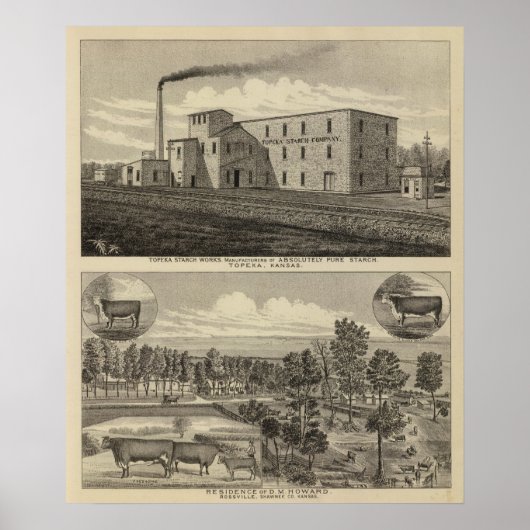 Topeka Starch Worksand Residence of DM Howard Poster (Voorkant)