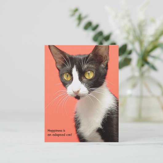 Topenga - Geluk is een geadopteerde kat! Briefkaar Briefkaart (Staand voorkant)