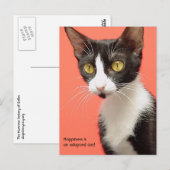 Topenga - Geluk is een geadopteerde kat! Briefkaar Briefkaart (Voorkant / Achterkant)