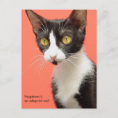 Topenga - Geluk is een geadopteerde kat! Briefkaar Briefkaart (Voorkant)
