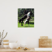 TopHatFriesians.com Poster (Keuken)