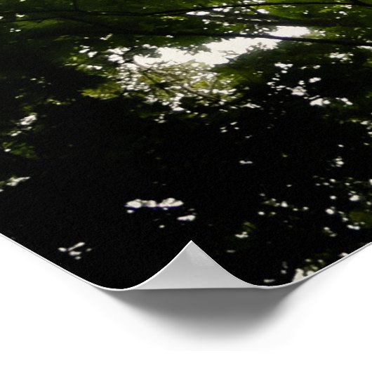 Topjes in de Blue Ridge Mountains Poster (Hoek)