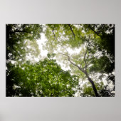 Topjes in de Blue Ridge Mountains Poster (Voorkant)