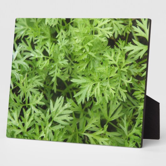 Topjes Plaque Fotoplaat (Zijkant)