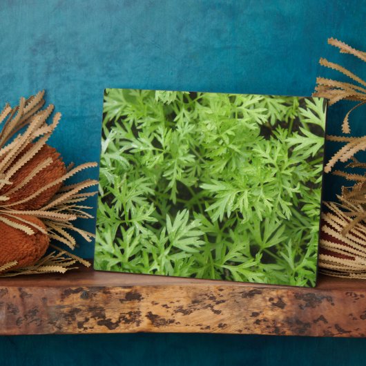 Topjes Plaque Fotoplaat (Zijkant)