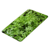 Topjes premium voor wortelmagneten magneet (Linkerzijde)