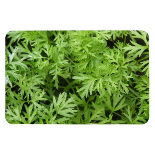 Topjes premium voor wortelmagneten magneet (Horizontaal)