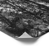 Topjes van bomen (b/w) poster (Hoek)