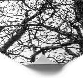 Topjes van gekookte, zeldzame bomen poster (Hoek)