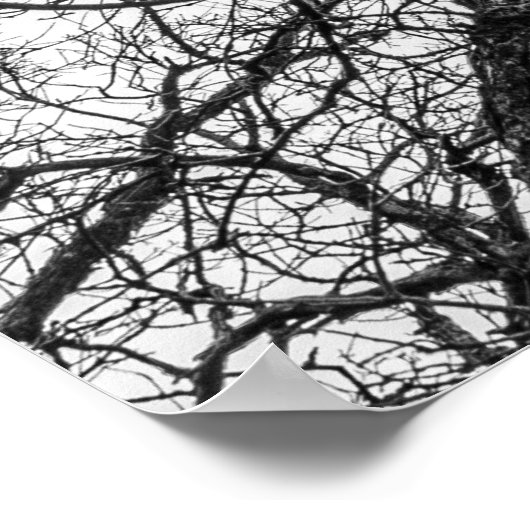 Topjes van gekookte, zeldzame bomen poster (Hoek)