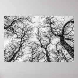 Topjes van gekookte, zeldzame bomen poster