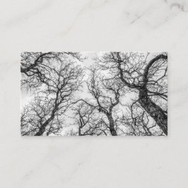 Topjes van gekookte, zeldzame bomen visitekaartje