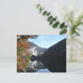 Toplitzsee - Styria, Oostenrijk Briefkaart (Staand voorkant)