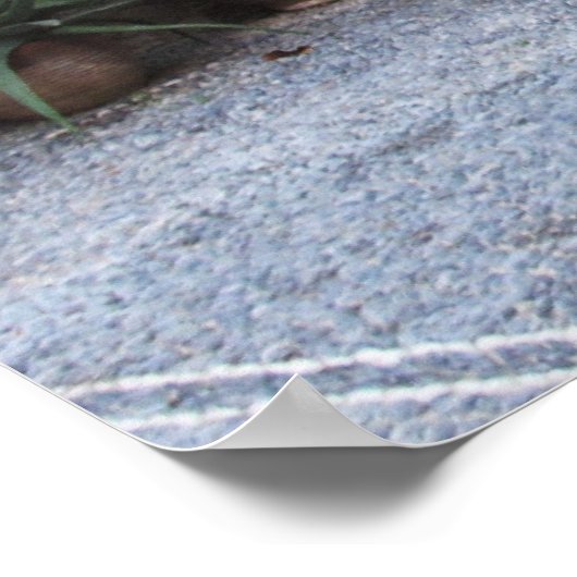 Toplou Klooster Kerken binnenhof POSTER (Hoek)