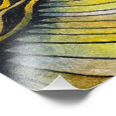 Topografie Foto Afdruk (Hoek)