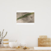 Topografisch diagram van het slagveld van de litt poster (Keuken)