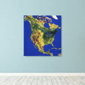 Topografisch Uitzicht van Noord- en Midden-Amerika Canvas Afdruk (Insitu (Houten vloer))