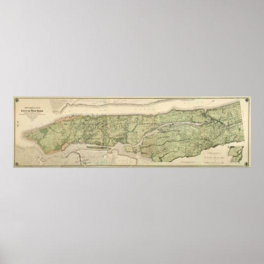 Topografische atlas van de stad New York, 1874 Poster (Voorkant)