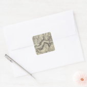 Topografische kaart van de Yosemite-vallei Vierkante Sticker (Envelop)