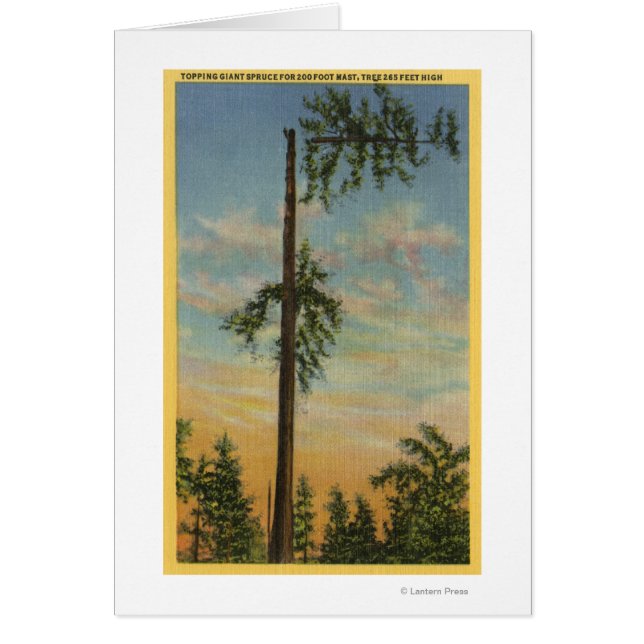 Topping Giant Spruce voor 200 ft. Zeilen (Voorkant)