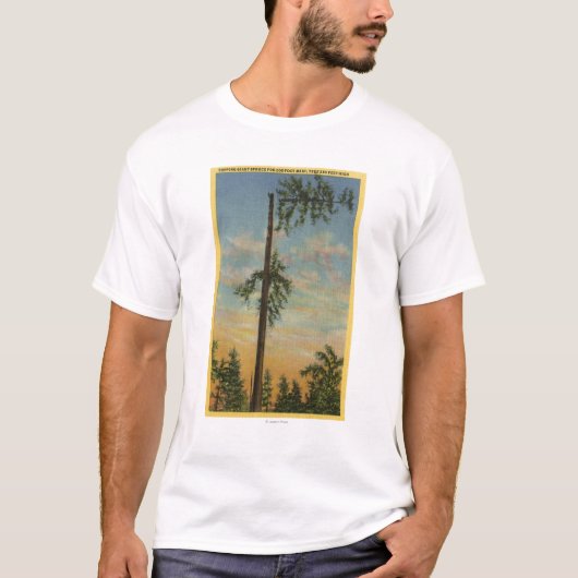 Topping Giant Spruce voor 200 ft. Zeilen T-shirt (Voorkant)