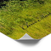 Topsail Island Beach Tree Poster (Hoek)