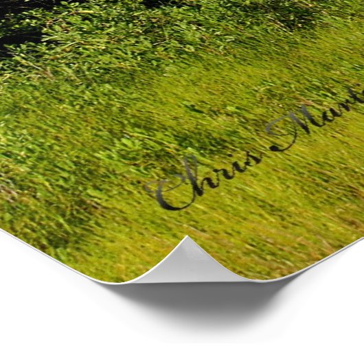 Topsail Island Beach Tree Poster (Hoek)