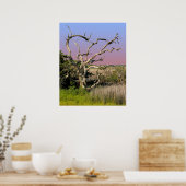 Topsail Island Beach Tree Poster (Keuken)