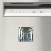 Topsail Island, NC magneet (Insitu (Vaatwasser))