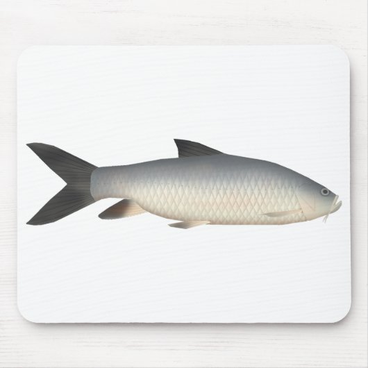 Tor Mahseer Muismat (Voorkant)