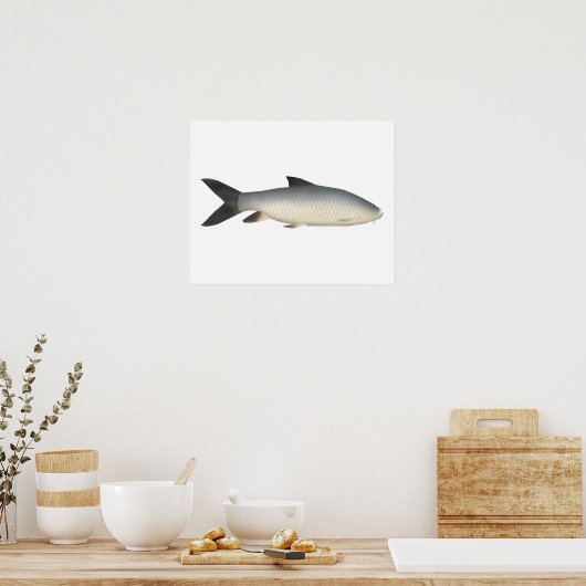 Tor Mahseer Poster (Keuken)