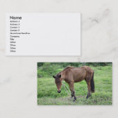 Toraille1 Visitekaartje (Voorkant / Achterkant)