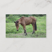 Toraille1 Visitekaartje (Achterkant)